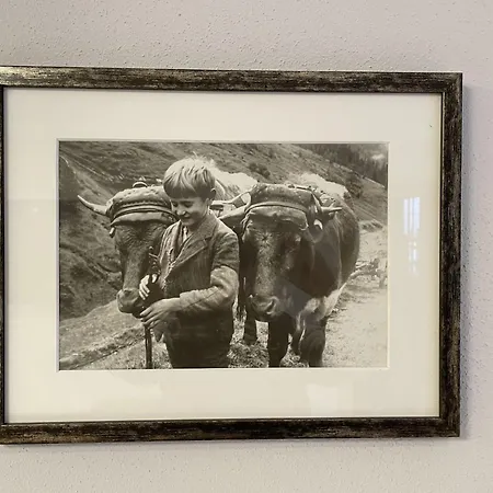 Holzerjuwel By Interhome דירה *